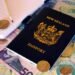 New Zealand Travel Visa Types and Requirements for Immigrants