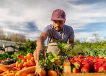 Farm Worker Jobs in Canada with Visa Sponsorship – How to Apply and Secure