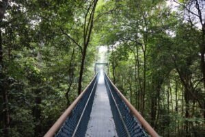 Touring Singapore for Adventures: Requirements, Visas, and Top Places to Visit